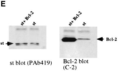 FIG. 9