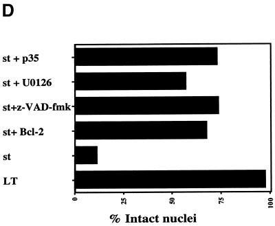 FIG. 9