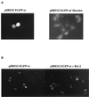 FIG. 9