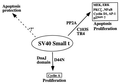 FIG. 10