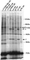 FIG. 6