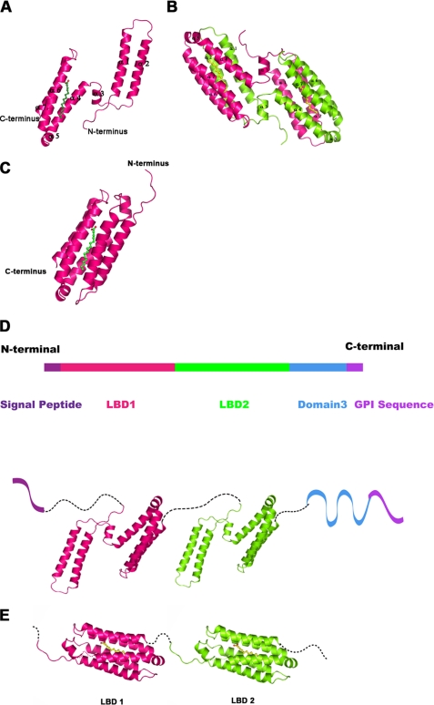 FIGURE 2.