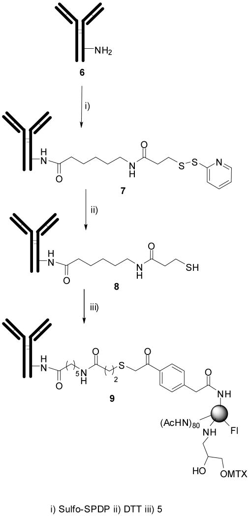 Scheme 2