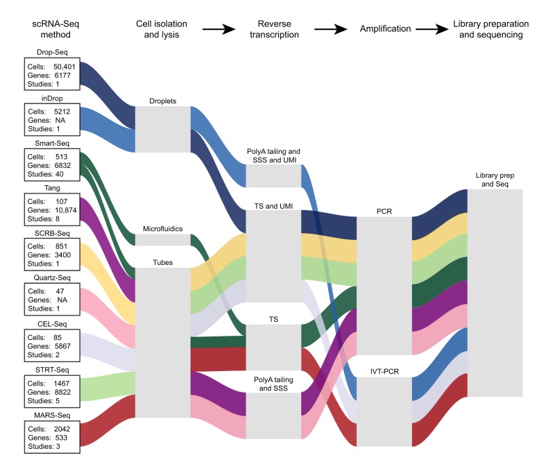 Box 2. Single-cell RNA sequencing: how does it work?