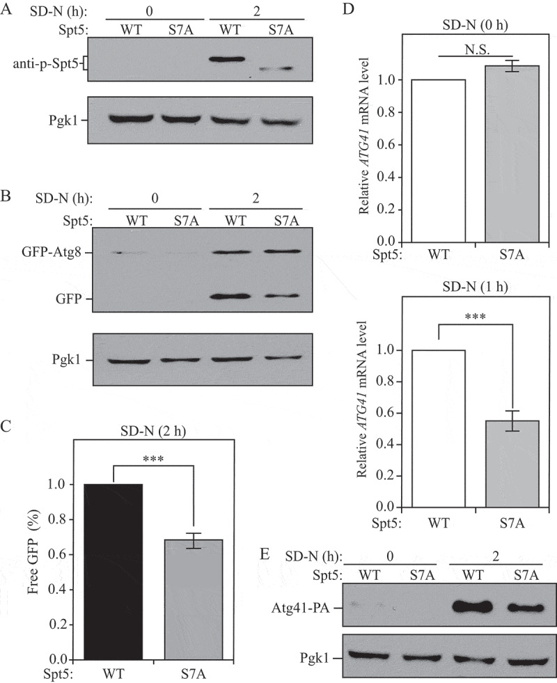 Figure 4.