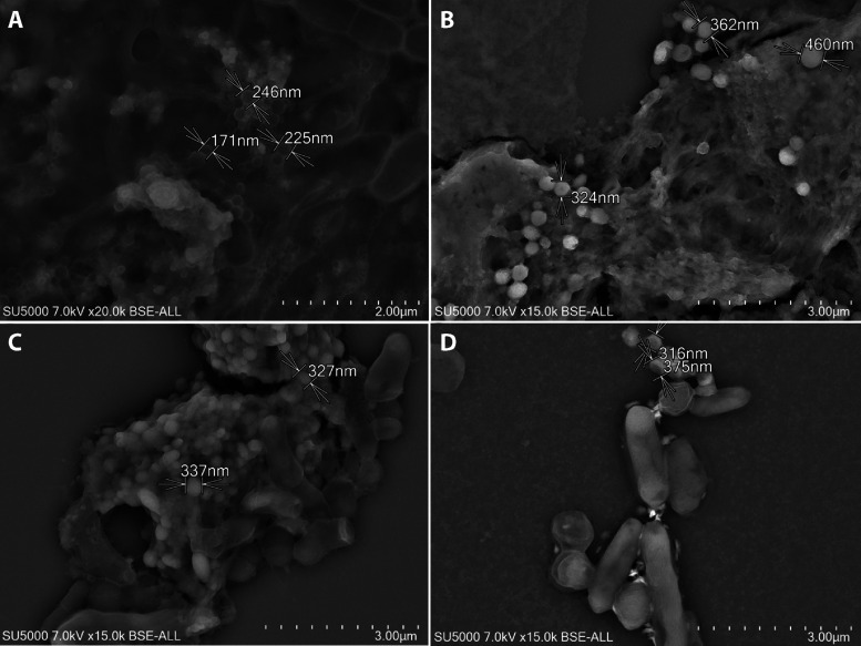 FIG 3