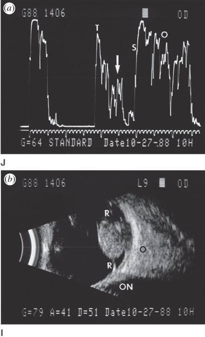 Figure 2.