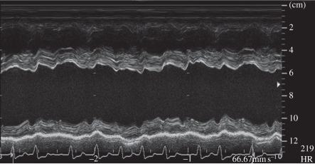 Figure 1.