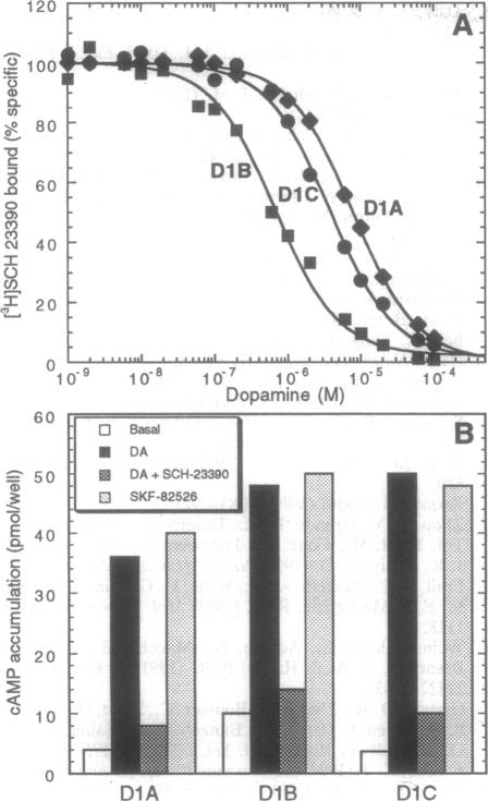 graphic file with name pnas01144-0306-a.jpg