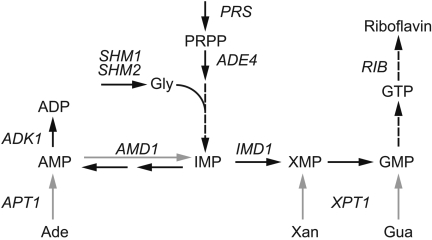 FIG. 1.