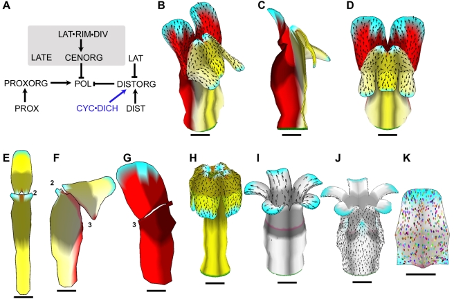 Figure 9