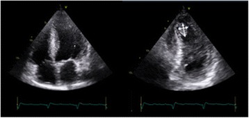 Fig. 8