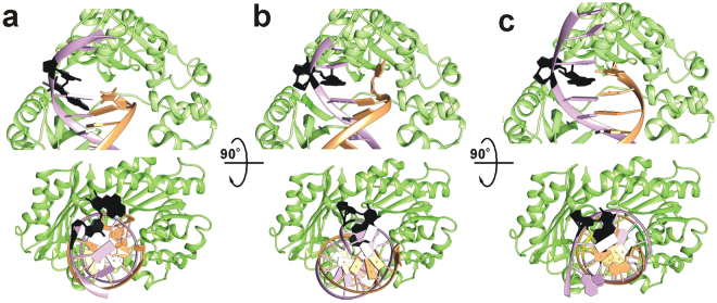 Figure 7