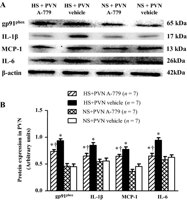 Fig. 5