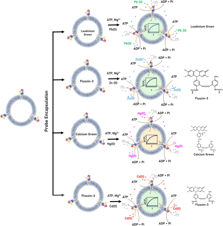 Fig. 6