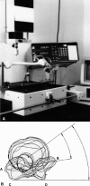 Fig. 3A–B