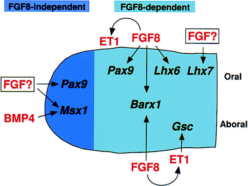 Figure 7