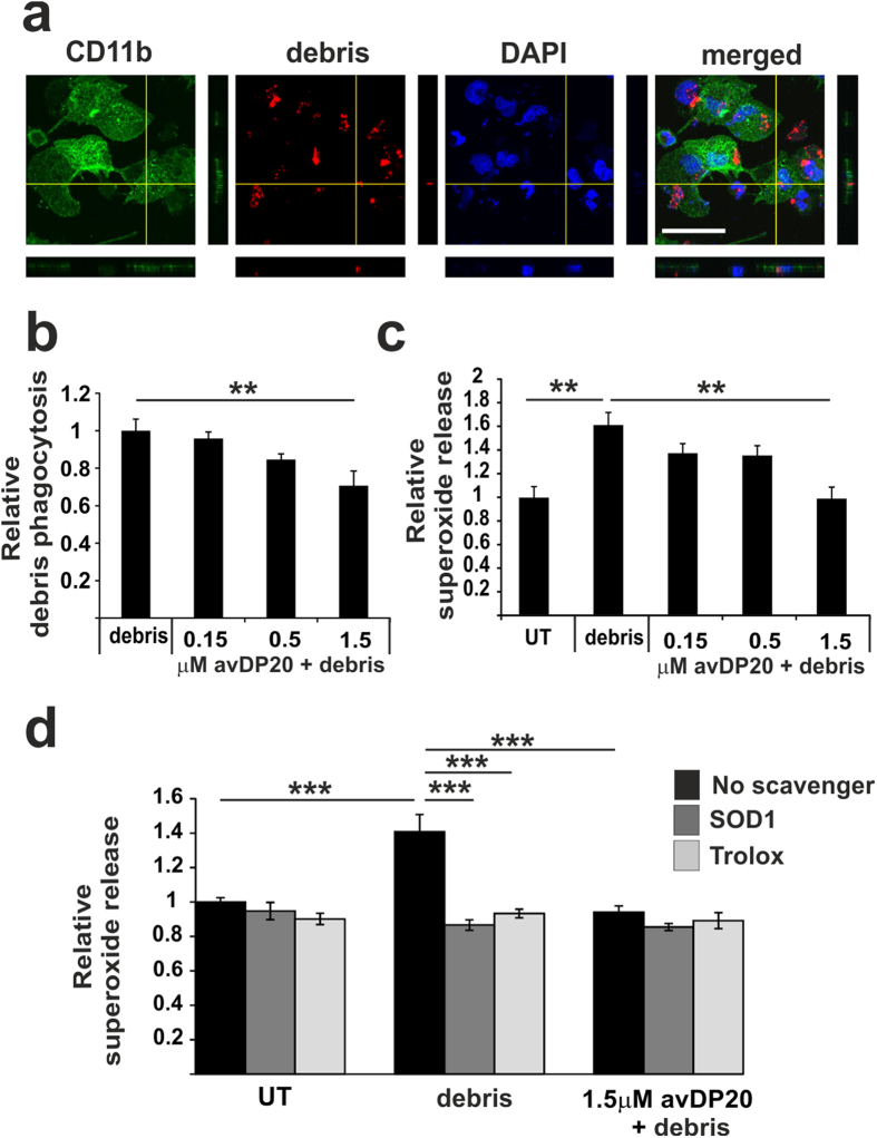 Figure 5