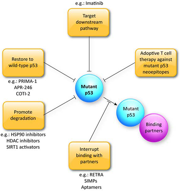 Figure 2: