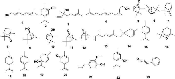 Fig. 5