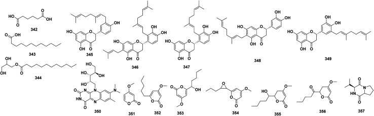 Fig. 11