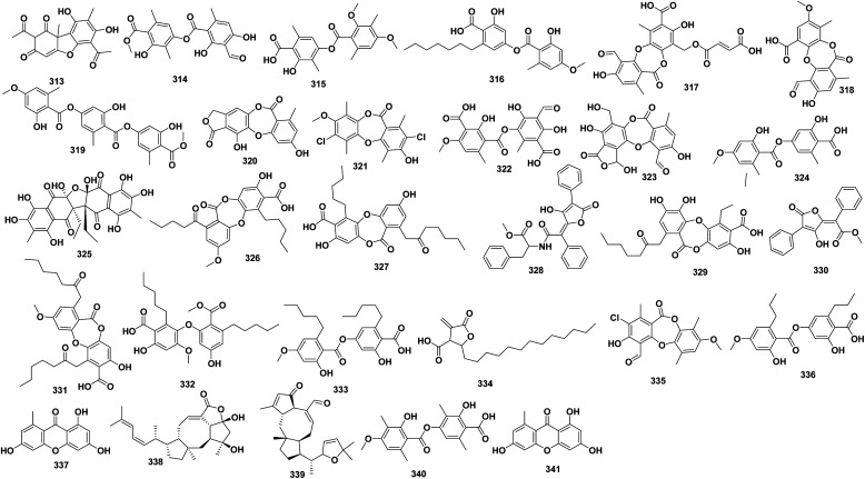 Fig. 10