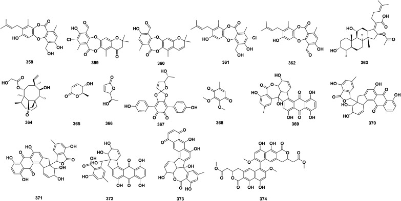 Fig. 12