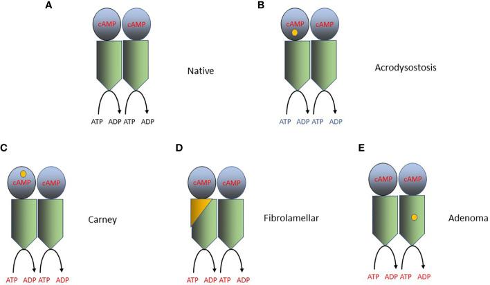 Figure 2