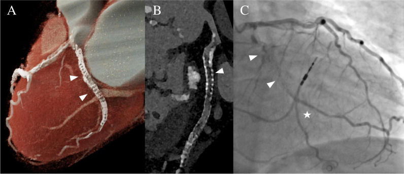 Fig. 5