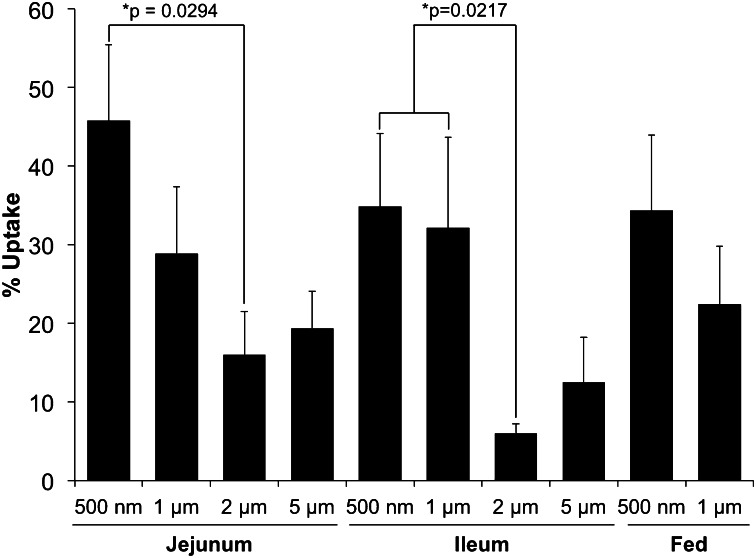 Fig. 3.