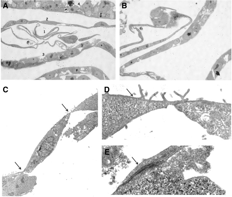 FIG. 8.