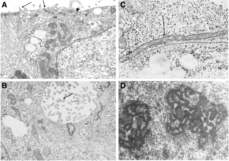 FIG. 7.