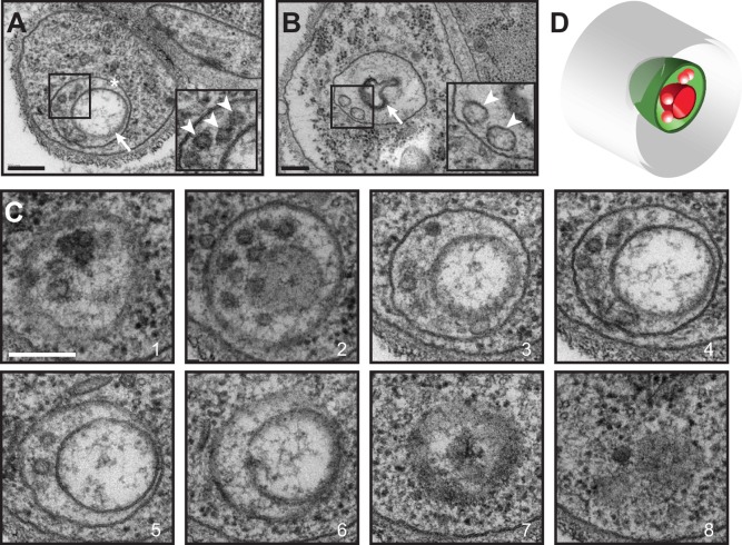 Fig. 4.