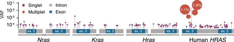 Fig. 8.