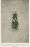 106