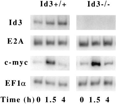 FIG. 7