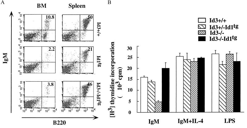 FIG. 10