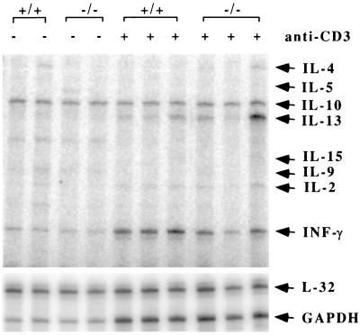 FIG. 9