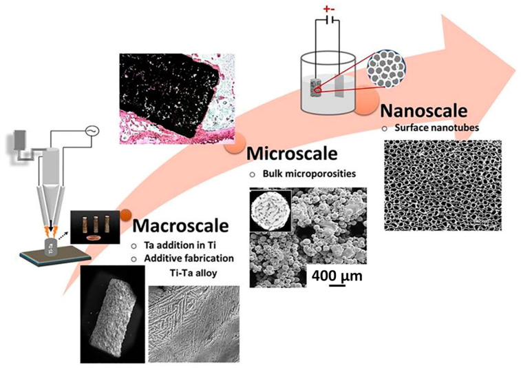 Figure 24