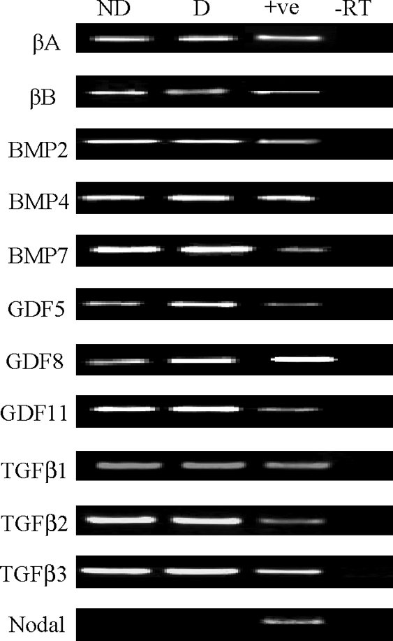 Figure 2: