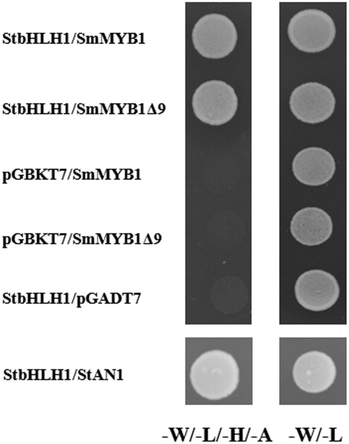 FIGURE 6