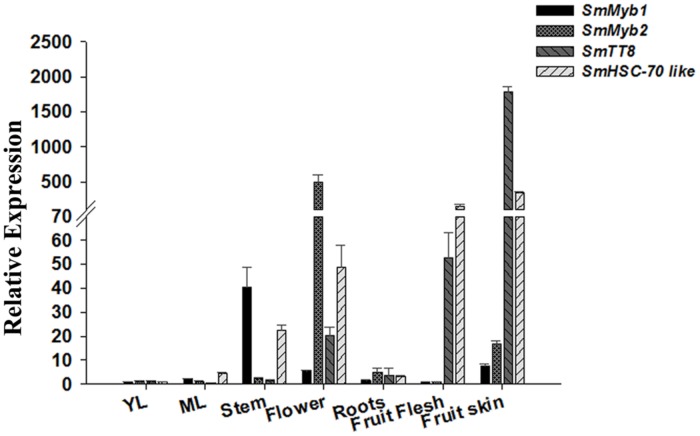 FIGURE 4