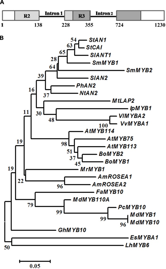 FIGURE 3