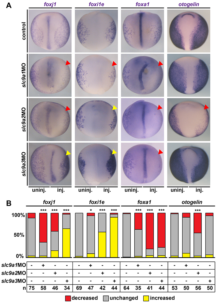 Figure 4: