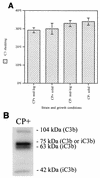 FIG. 8