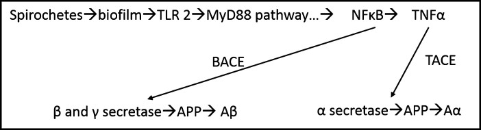 Fig.5