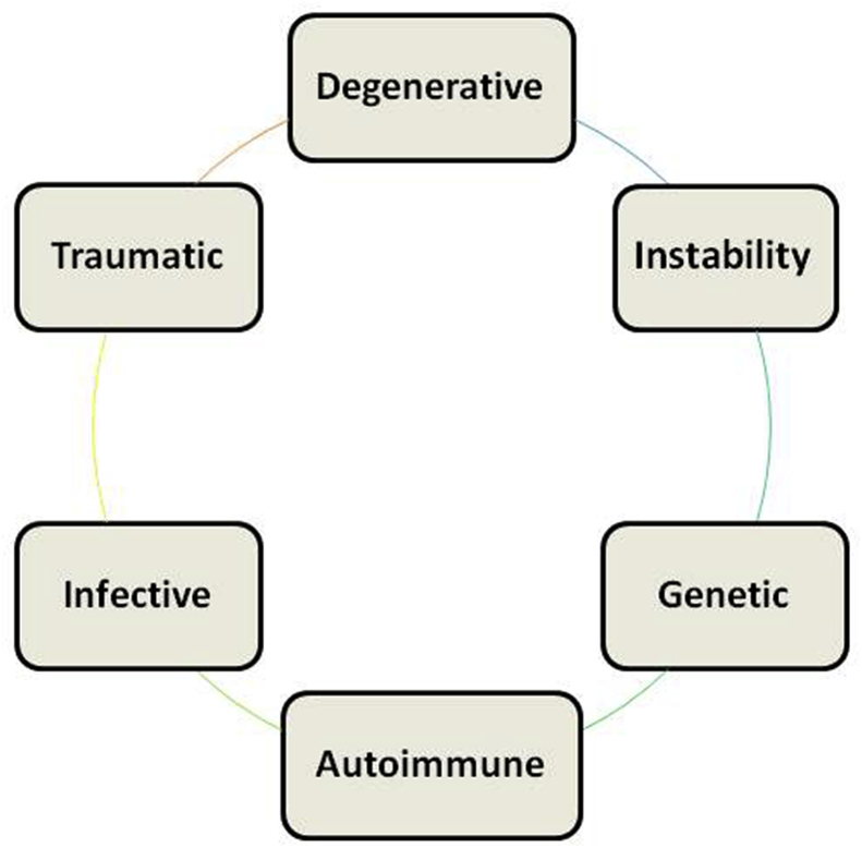 Fig. 4