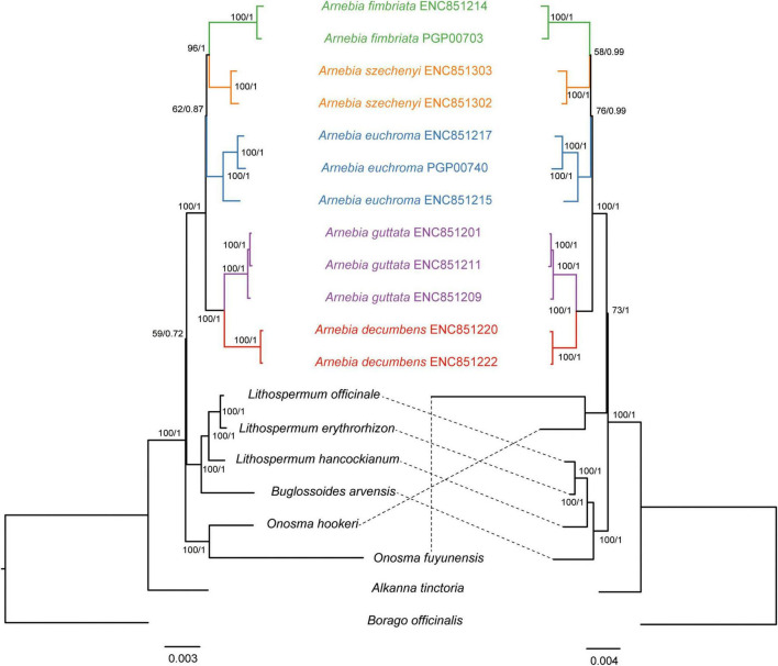 FIGURE 3