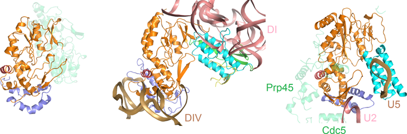 Figure 2.