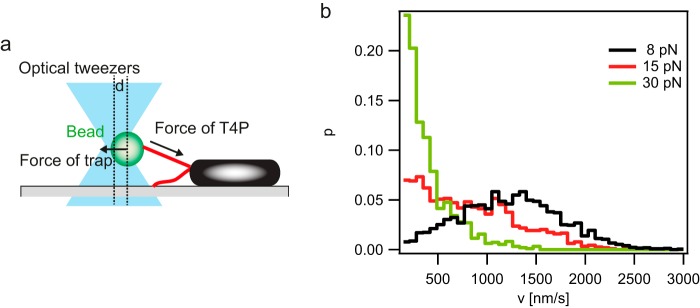 FIG 1